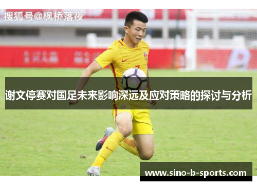 谢文停赛对国足未来影响深远及应对策略的探讨与分析 谢文停赛对国足未来影响深远及应对策略的探讨与分析