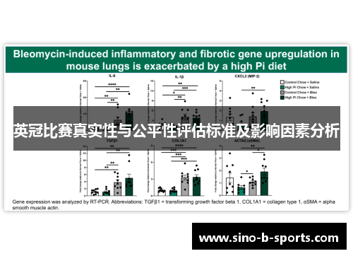 英冠比赛真实性与公平性评估标准及影响因素分析